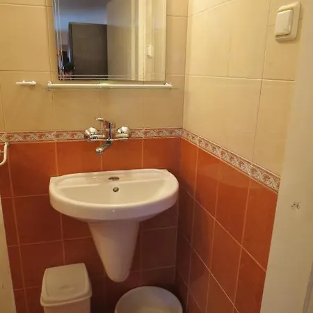 Family Lebed Hotel *