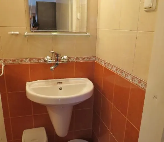 Family Lebed Hotel *